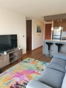🏙️✨ ARRIENDO DPTO AMOBLADO 2D 2B✨🏙️