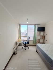 🏙️✨ ARRIENDO DPTO AMOBLADO 2D 2B✨🏙️